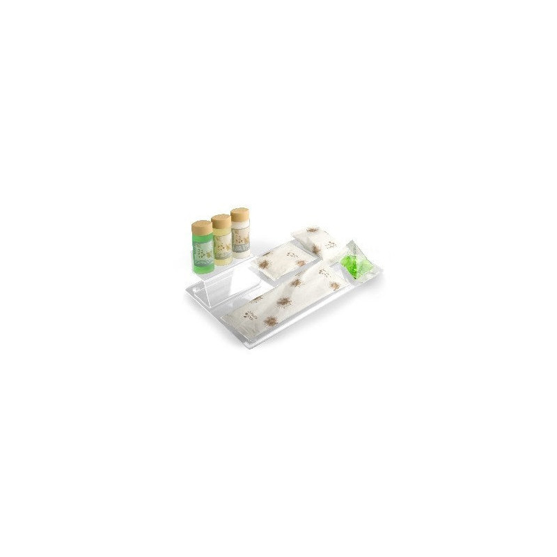 Plateau en acrylique translucide. - Nature
