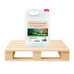 180 x 5L Kanister Body & Hair White Tea