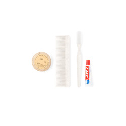 Kit ecológico com escova e creme dental, sabonete e pente