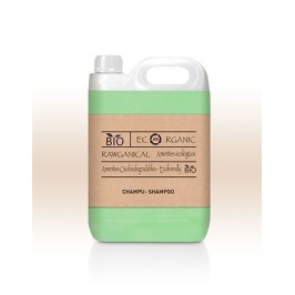 Flacone da 5L shampoo, aroma menta