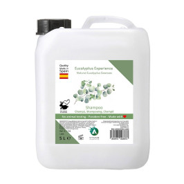 Vitacab Eucalyptus Shampoo in 5L Container